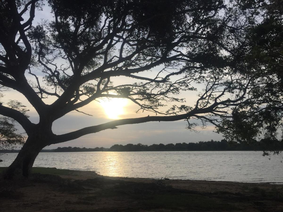 Saffron Lake Yala 티사마하라마 외부 사진